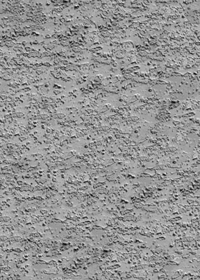 Grey Stucco - Product Details - 3Dream.net